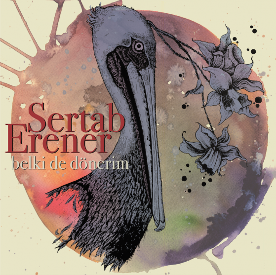 BELKI DE DONERIM